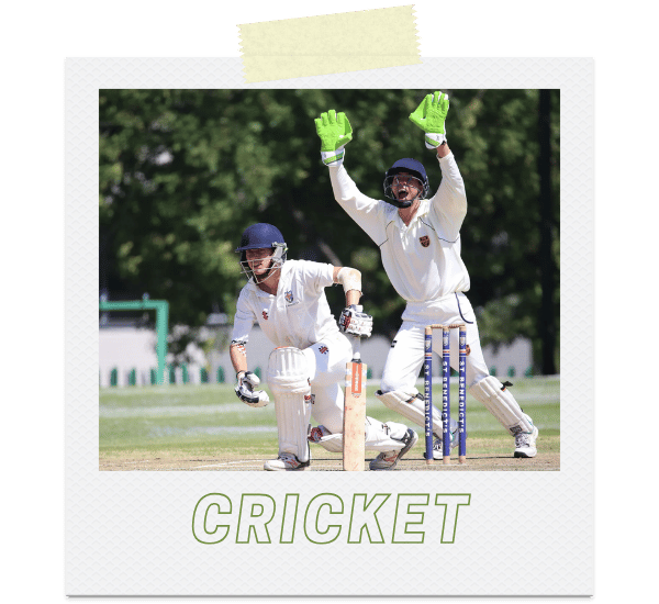 CRICKET