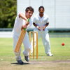 Cricket Studio Cricket Studio