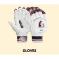 Cricket Bat Essentials 