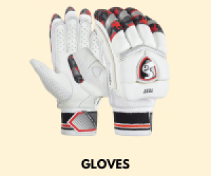 Cricket Bat Essentials 