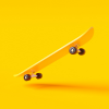 Skate Boards