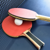 Table Tennis 