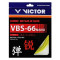 VBS 66